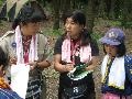 ktn_39.jpg