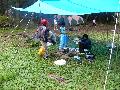 ktn_8.jpg